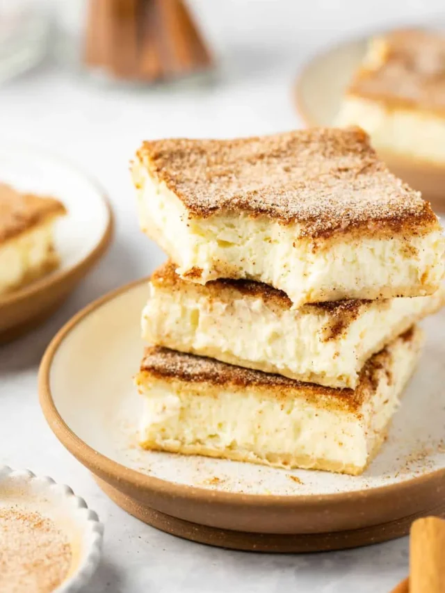 CHURRO CHEESECAKE BARS